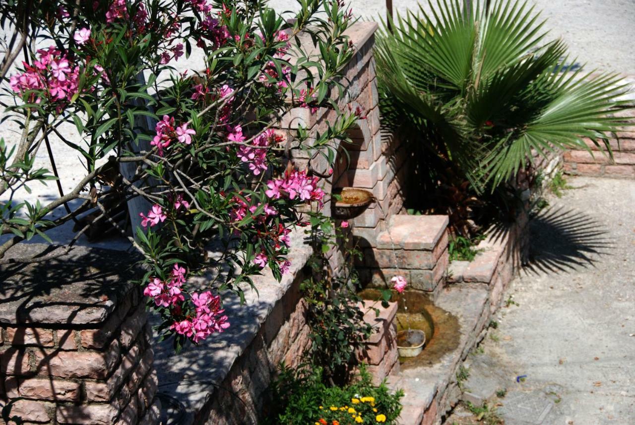 Hotel Mesopotami Εξωτερικό φωτογραφία